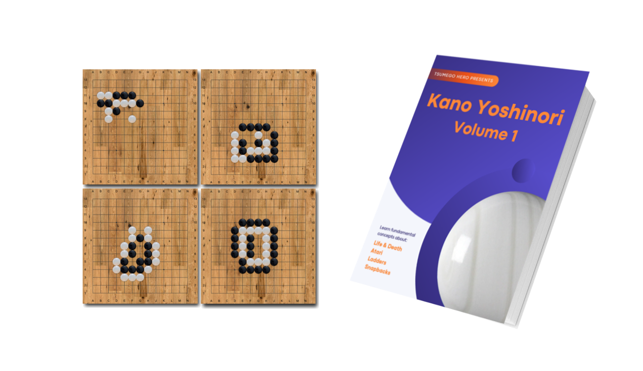 New Collection: Kano Yoshinori